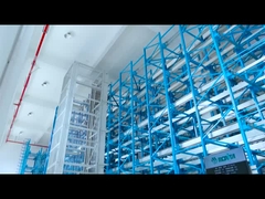 Opbergruimte Staalopslag Vierweg Radio Shuttle Racking System Versatile Shuttle Pallet Racking